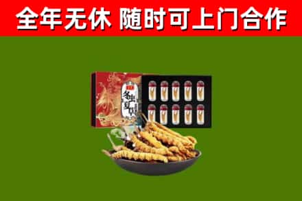大竹县回收冬虫夏草价格
